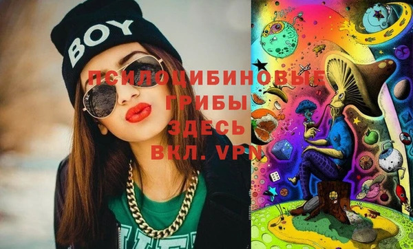 мдпв Алзамай