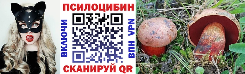 mega онион  закладка  Новоузенск  Галлюциногенные грибы ЛСД 